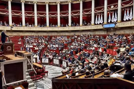 Cérémonie d'ouverture de la session de la 50e de l’Assemblée parlementaire de la Francophonie (APF), à Paris, le 12 juillet. Photo : VNA