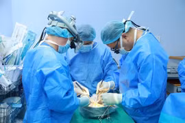 En 2024, le Vietnam a enregistré 41 cas de don d'organes proviennant de donneurs en mort encéphalique. Photo: VietnamPlus