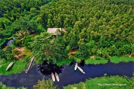 La forêt d'U Minh, située à proximité du golfe de Thaïlande, sur le territoire des provinces de Kiên Giang et de Cà Mau. Photo: www.camau.gov.vn
