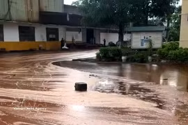 Un gros orage accompagné de foudre a frappé une cuve de stockage de mélasse dans une sucrerie, provoquant le déversement d'environ 2 000 tonnes de mélasse. Photo : VNA