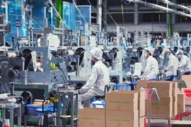 Le secteur privé, longtemps qualifié de composante importante, est désormais considéré comme l’un des moteurs essentiels de croissance de l’économie nationale. Photo : VNA