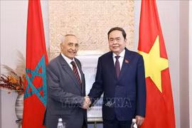 Le président de l’Assemblée nationale du Vietnam, Trân Thanh Mân (à droite) serre la main du président de l’Association d’amitié Maroc-Vietnam, Mustapha El Ktiri. Photo : VNA
