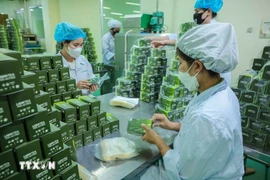 Fabrication de produits à base de plantes chez Lam Dong Pharmaceutical JSC (Ladophar). Photo : VNA