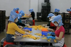 Des ouvriers travaillent dans une entreprise privée dans le district de Lâp Vo, province de Dông Thap (Sud). Photo: VNA