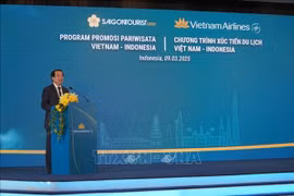 Le directeur adjoint de l’Autorité nationale du tourisme du Vietnam (VNAT) Hà Van Siêu. Photo: VNA