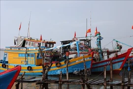 Bateaux de pêche aux anchois dans des pêcheurs de Hô Chi Minh-Ville. Photo: VNA