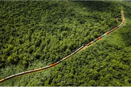 Photo: Đ.X/thanhnien.vn