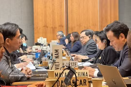L'ambassadeur Mai Phan Dung (à droite) et le conseiller Pham Quang Huy (à gauche) lors de la réunion, à Genève. Photo diffusée par la VNA