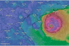 Deux scénarios ont été décrits concernant l'impact de Matmo sur le Vietnam, avec Quang Ninh, Hai Phong et Ninh Binh susceptibles d'être les plus durement touchés. Photo : Windy
