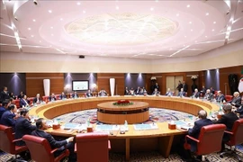 Entretien entre le Premier ministre vietnamien Pham Minh Chinh et son homologue algérien Sifi Ghrieb, à Alger, le 19 novembre. Photo : VNA