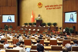 La ministre de la Culture, des Sports et du Tourisme, Lâm Thi Phuong Thanh, fournit des éclaircissements sur certains points soulevés par les députés. Photo : VNA