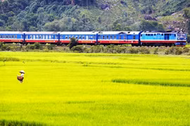 L'Express de la Réunification emmène les passagers à travers les grandes villes et la campagne paisibles Photo: Lonely Planet