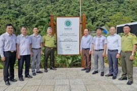 Le parc national de Côn Dao a reçu le 29 novembre la prestigieuse certification de la Liste verte de l'UICN, devenant ainsi la troisième aire protégée du Vietnam et la 101e au monde à recevoir cette reconnaissance internationale pour sa gestion efficace et équitable de la conservation. Photo : gracieuseté du parc national de Côn Dao
