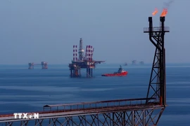 Les plateformes de forage du champ pétrolier Bach Hô. Photo: VNA