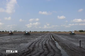 Le secteur agricole exhorte les agriculteurs à ne planter des cultures que lorsqu'un approvisionnement suffisant en eau est garanti. Photo: VNA