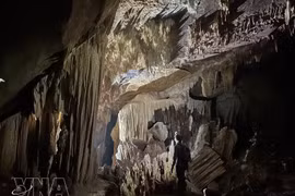 Dans la grotte de Chac Den, récemment découverte dans le parc national de Phong Nha-Ke Bàng, dans la province de Quang Tri. Photo : VNA