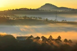 Les voyageurs ne devraient pas manquer le spectacle de la brume matinale qui emplit la vallée et crée un manteau recouvrant le village montagneux de Da Lat, au Vietnam. Photo: vietnamtourisme