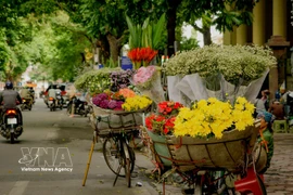 Une vague de chaleur guette le Nord cette semaine. Photo: VNA