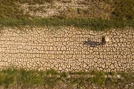 Une rizière ravagée par la sécheresse dans le delta du Mékong. Un épisode El Niño très intense est susceptible d’accroître les risques de sécheresse, de pénurie d’eau et d’intrusion d’eau salée. Photo: VNP