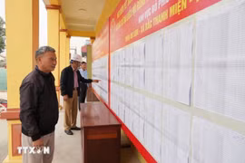 Les électeurs consultent les listes des candidats à l’Assemblée nationale et aux Conseils populaires. Photo: VNA