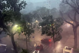 De violents orages provoqués par le typhon Wipha ont semé le chaos dans les rues de Hanoi. Photo: VNA