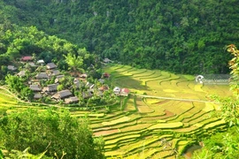Situé au cœur de la réserve naturelle de Pu Luông, le village de Kho Muong émerveille par sa beauté préservée et son cadre paisible, où la vie rurale suit le rythme des saisons. Photo: Origin Vietnam