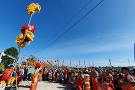 Une danse du lion à Cân Tho qui accueille les visiteurs pendant les vacances du Nouvel An lunaire. Photo : VNA