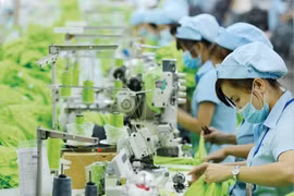 Pour s’adapter aux évolutions et assurer leur croissance, les entreprises doivent s’engager dans la transition verte. Photo d’illustration: Thanhtra