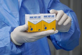 Le vaccin contre la peste porcine africaine AVAC ASF LIVE. Photo : AVAC