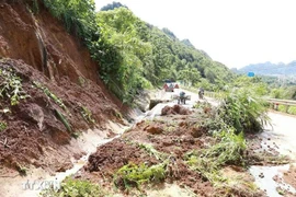 De fortes pluies ont provoqué des glissements de terrain, causant des problèmes de sécurité routière sur la section de la route nationale 4D bordant la ville de Lai Chau et le district de Phong Tho. Photo : VNA