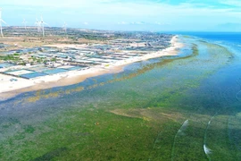Le district de Thuân Nam, province de Ninh Thuân, a été choisi comme site pour la construction de la centrale nucléaire de Ninh Thuân 1. Photo: VNA