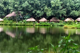 Des maisons sur pilotis dans le village de Thai Hai. Photo: TripAdvisor