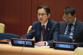 L’ambassadeur Dô Hung Viêt, représentant permanent du Vietnam auprès des Nations Unies, intervient lors d’un débat sur la paix en Afrique. Photo : VNA