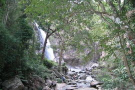 La cascade de Ta Gu. Photo: ditichkhanhhoa.org.vn