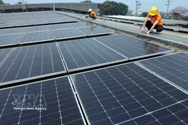Les ressources de la main-d’œuvre ESG au Vietnam laissent encore à désirer tant en quantité qu'en qualité. Photo : VNA