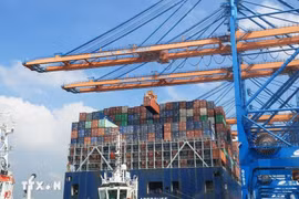  Au port international de Gemalink, dans le chef-lieu de Phu My, province de Bà Ria-Vung Tàu (Sud). Photo : VNA