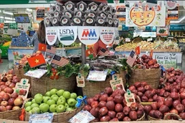 En 2024, la pomme s’est imposée comme le fruit le plus importé au Vietnam, avec un chiffre d’affaires de 275,3 millions de dollars, soit une augmentation de 18 % par rapport à 2023. Les importations de pommes américaines, quant à elles, ont bondi de 58,3 %. Photo: NDEL