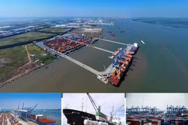 Le Vietnam dispose d’un fort potentiel dans le transport maritime. Photo: VNA