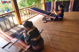Des tisseuses Jrai de la commune d’Ia Mo Nông. Photo: VOV