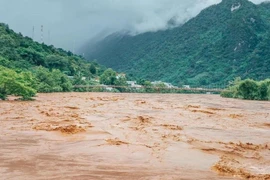 Le Vietnam parmi les pays asiatiques les plus vulnérables au changement climatique