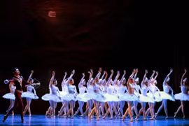 Le "Le Lac des Cygnes" promet d’envoûter l’Opéra de Hô Chi Minh-Ville. Photo: NDEL