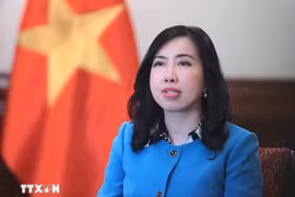 La vice-ministre des Affaires étrangères, Lê Thi Thu Hang. Photo : VNA