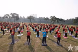 Plus de 1.000 pratiquants de yoga participent à une performance spéciale lors de l'événement. Photo : PANO