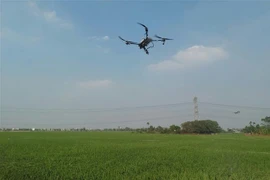 La pulvérisation par drone de produits phytosanitaires est autorisée à certaines conditions. Photo: VNA