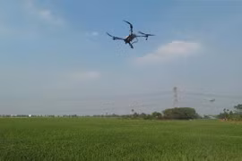 La pulvérisation par drone de produits phytosanitaires est autorisée à certaines conditions. Photo: VNA