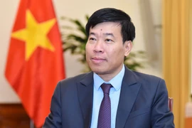 Le vice-ministre des Affaires étrangères Nguyên Manh Cuong. Photo : VNA