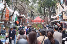 Le marché aux fleurs de Hang Luoc est le plus ancien de Hanoi. Photo: NDEL