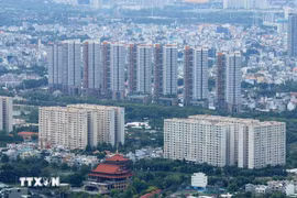 La fusion de Hô Chi Minh-Ville avec les provinces de Binh Duong et de Ba Ria-Vung Tàu créerait un pôle économique dynamique. Photo : VNA