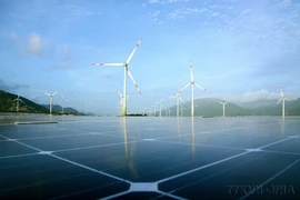Centrale éolienne et solaire dans le district de Thuân Bac, province de Ninh Thuân (Centre). Les activités de fusions et acquisitions sont florissantes dans le secteur des énergies renouvenables. Photo : VNA