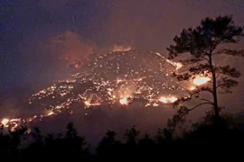 Incendies de forêt dans le quartier de Dai Yên, ville de Ha Long et dans le chef-lieu de Binh Liêu, district de Binh Lieu, province de Quang Ninh, dans la nuit du 12 avril au matin du 13 avril. Photo : VNA 